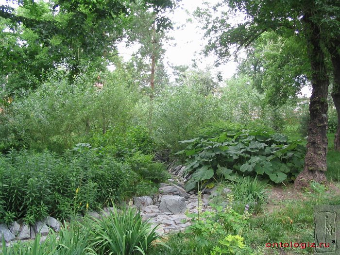 park (15)